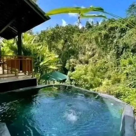 Pondok Kungkang Villa 2 Ubud Exteriér fotografie
