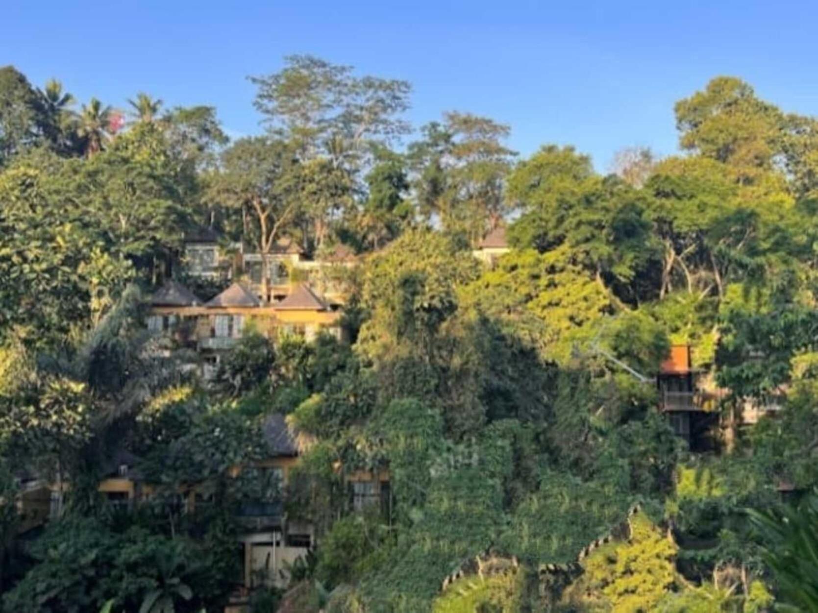 Pondok Kungkang Villa 2 Ubud Exteriér fotografie