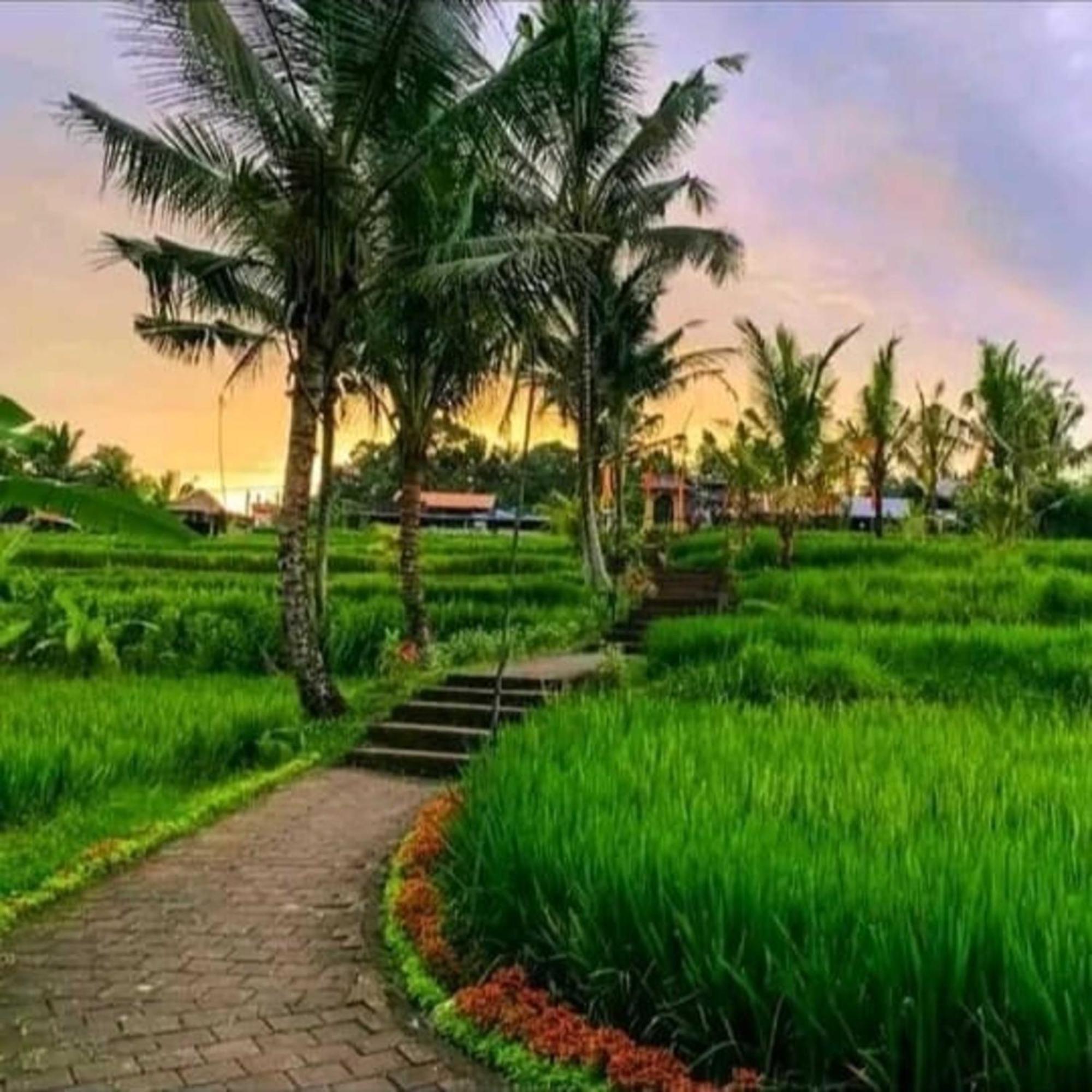 Pondok Kungkang Villa 2 Ubud Exteriér fotografie